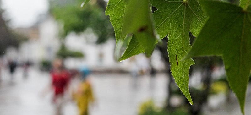 آغاز سال آبی جدید با کاهش ۴۰ درصدی بارندگی در استان مرکزی